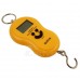 45Kg Digital Kitchen Weighing Scale / Luggage Hanging Weight Scale + Temperature